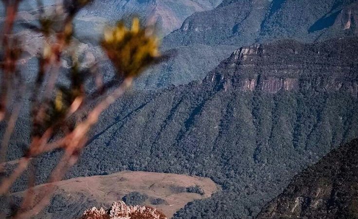 Serra Catarinense, um refúgio para os dias mais quentes