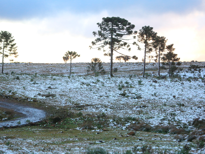 Frio rigoroso se aproxima e Serra Catarinense entra no radar dos turistas com chance de neve