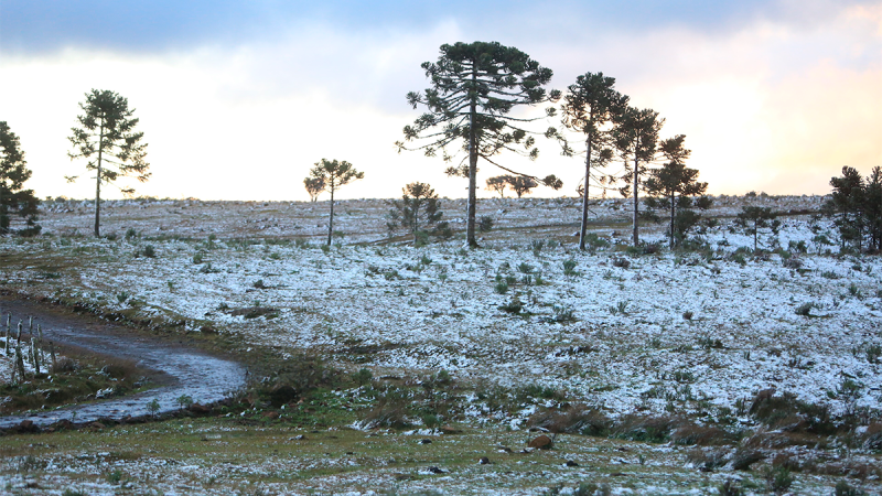 Frio rigoroso se aproxima e Serra Catarinense entra no radar dos turistas com chance de neve