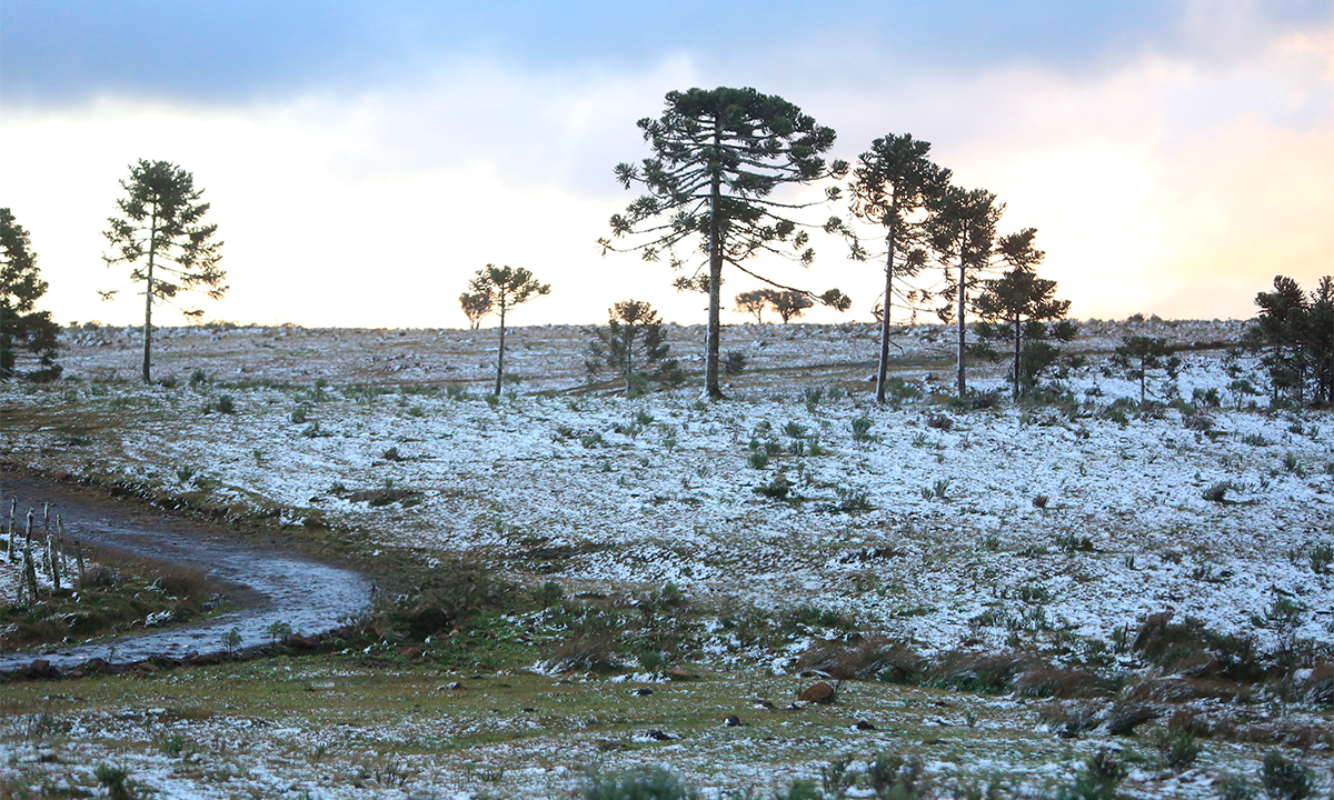 Frio rigoroso se aproxima e Serra Catarinense entra no radar dos turistas com chance de neve