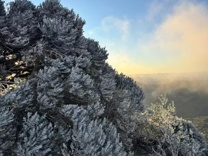 Com temperaturas abaixo de -8°C, Serra Catarinense exibe paisagens congeladas no amanhecer mais frio de 2025