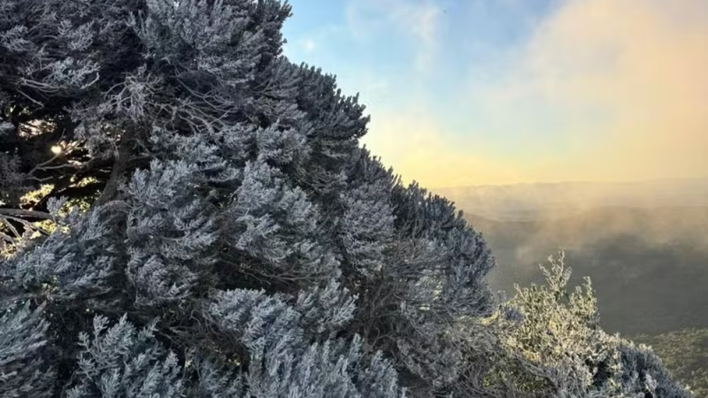 Com temperaturas abaixo de -8°C, Serra Catarinense exibe paisagens congeladas no amanhecer mais frio de 2025