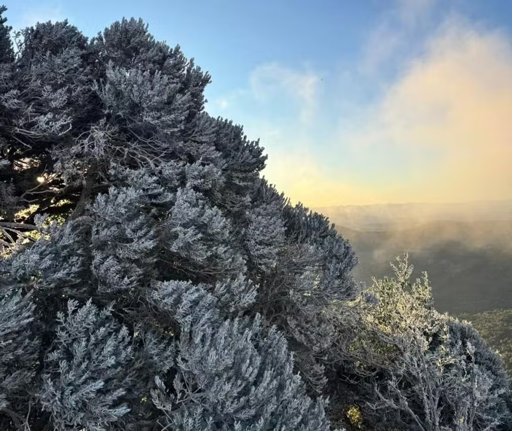 Com temperaturas abaixo de -8°C, Serra Catarinense exibe paisagens congeladas no amanhecer mais frio de 2025