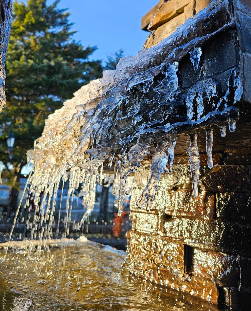 O frio mais intenso do ano congela Bom Jardim da Serra