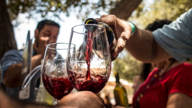 Festival Del Vino transforma litoral sul catarinense em rota de sabores, vinhos e experiências de inverno