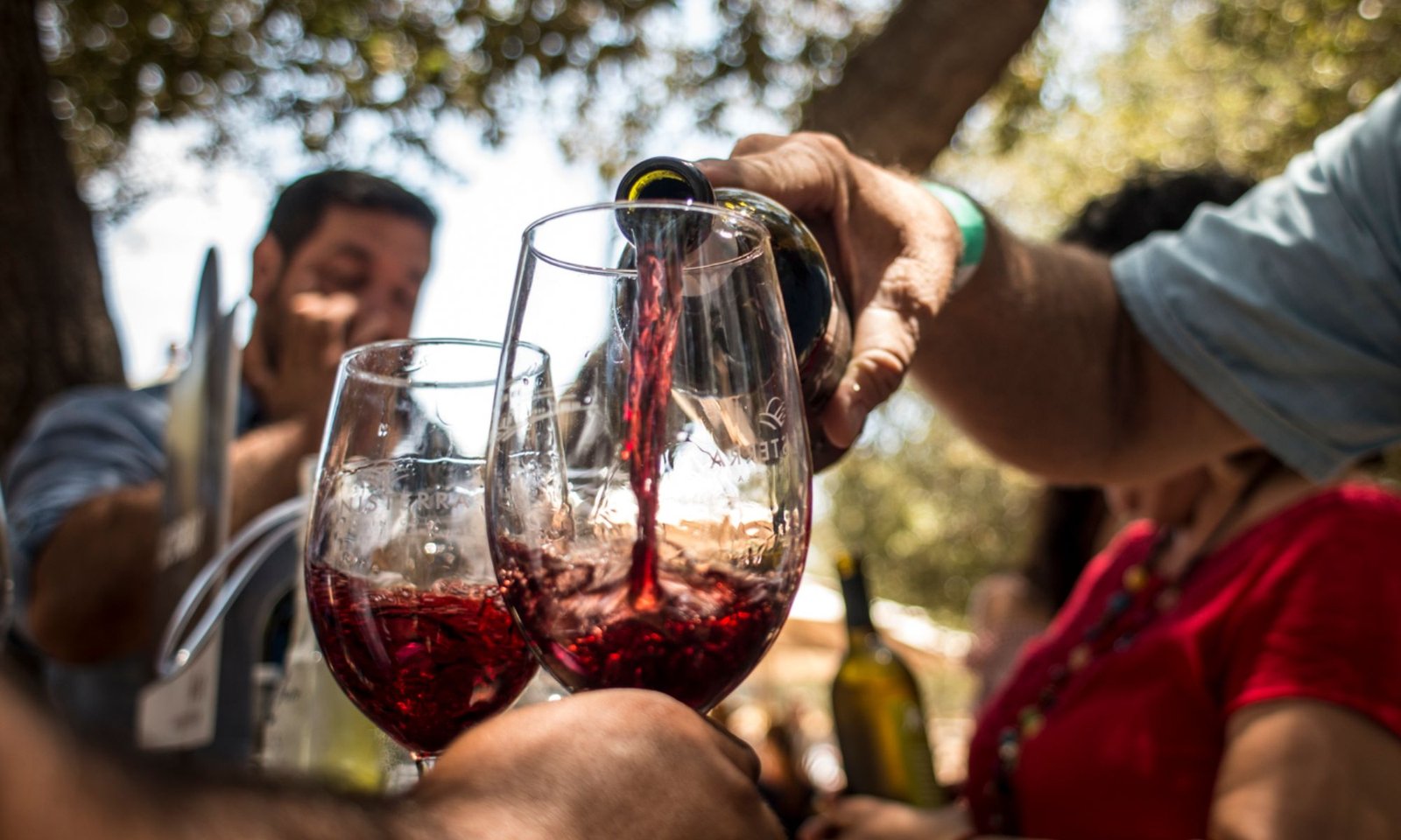 Festival Del Vino transforma litoral sul catarinense em rota de sabores, vinhos e experiências de inverno