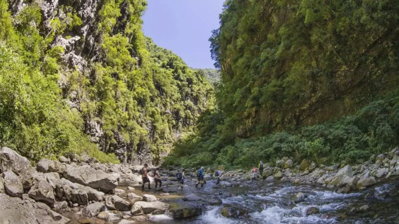 Trilhas sem esforço: roteiros leves para explorar o Sul de Santa Catarina