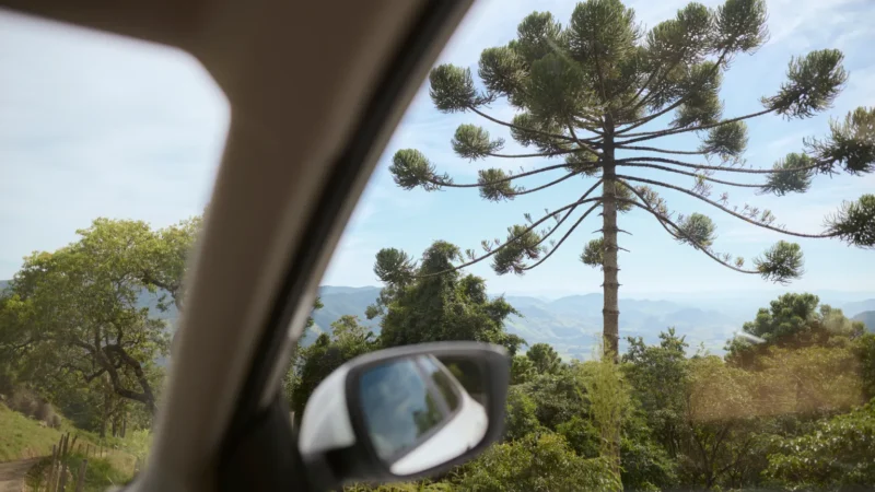 Novembro em SC: 7 experiências diferentes para aproveitar o pré-verão e fugir do óbvio