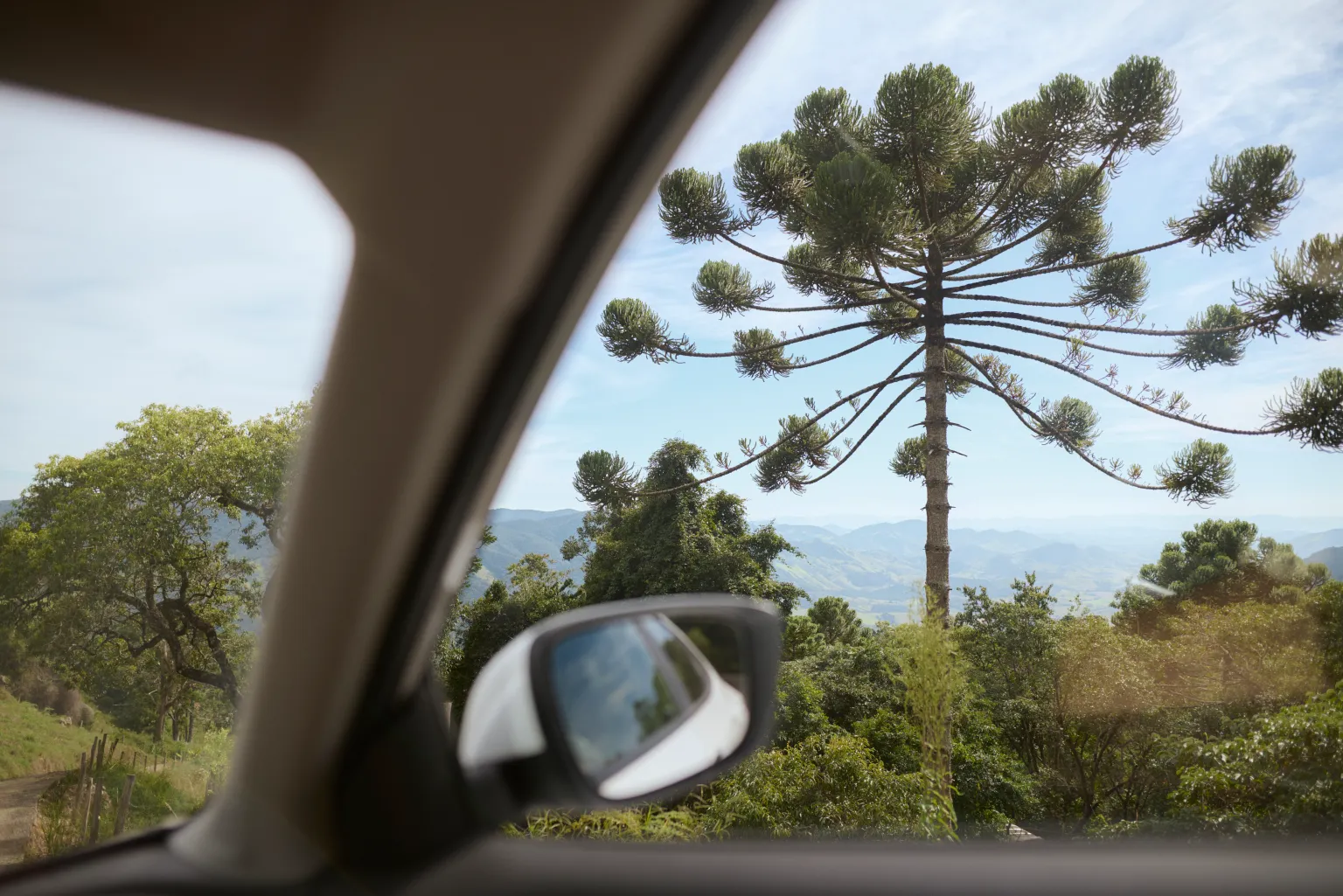 Novembro em SC: 7 experiências diferentes para aproveitar o pré-verão e fugir do óbvio