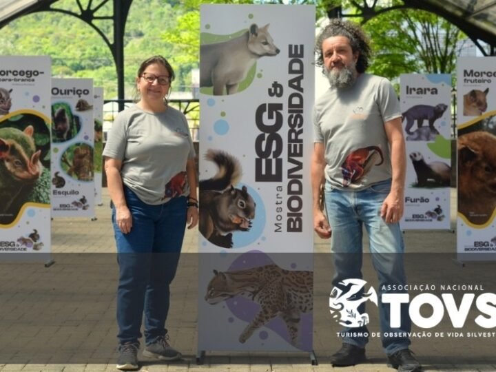 Instituto Alouatta assume representação da TOVS em Santa Catarina e na Região Sul