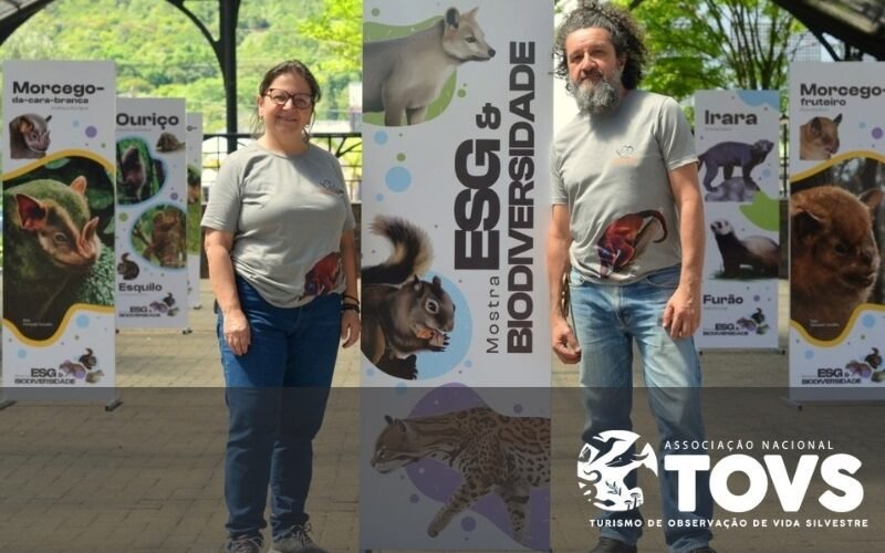 Instituto Alouatta assume representação da TOVS em Santa Catarina e na Região Sul