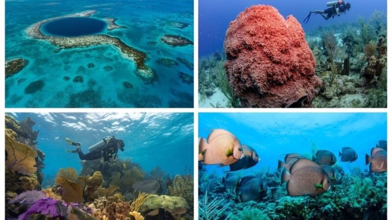 Belize espera por você para explorar o Great Blue Hole e outros pontos de mergulho