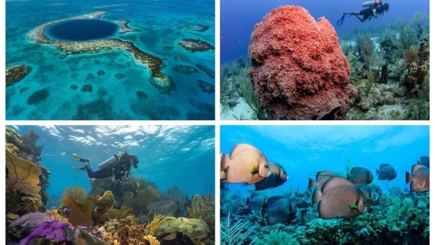 Belize espera por você para explorar o Great Blue Hole e outros pontos de mergulho