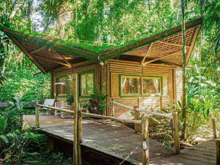 Outono em Ubatuba: temporada de natureza, tranquilidade e experiências imersivas