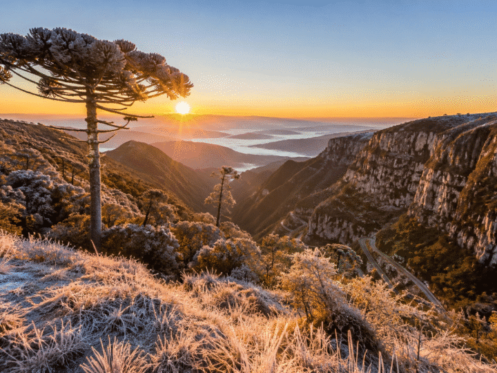 Além do frio, curiosidades da Serra Catarinense que surpreendem turistas