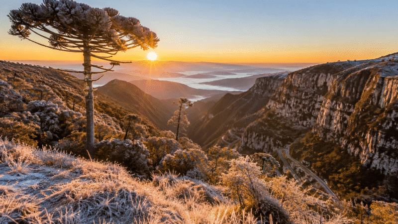 Além do frio, curiosidades da Serra Catarinense que surpreendem turistas