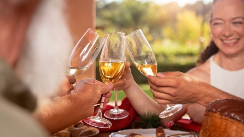 Confira seleção de vinhos que aquecem e são a cara do Outono