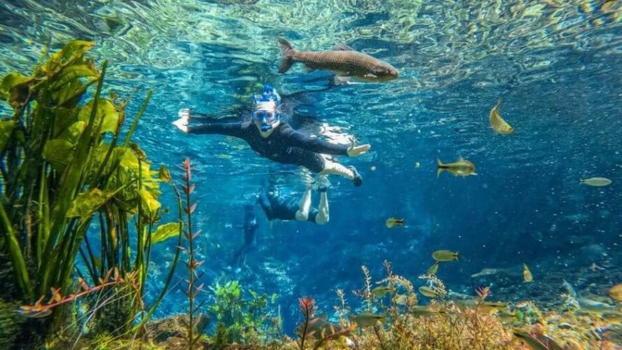 4 motivos para visitar a Nascente Azul no inverno