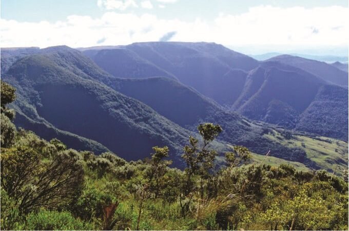 Você sabia? Uma antiga rota de tropeiros está renascendo entre Santa Catarina e o Rio Grande do Sul