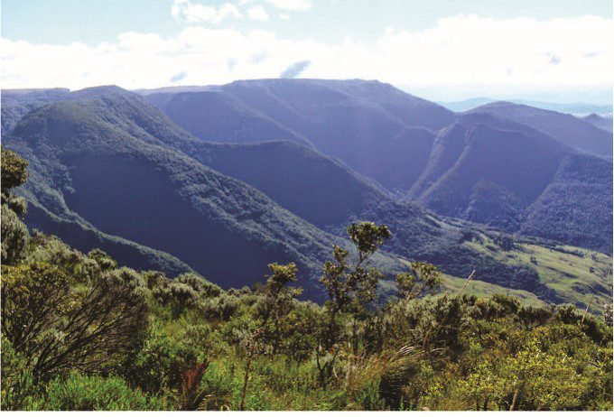 Você sabia? Uma antiga rota de tropeiros está renascendo entre Santa Catarina e o Rio Grande do Sul