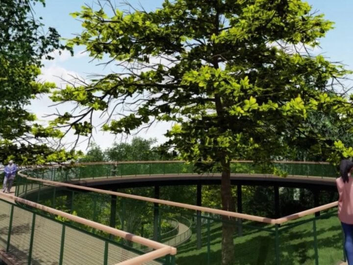 Uma borboleta gigante: conheça o projeto turístico que Criciúma quer tirar do papel