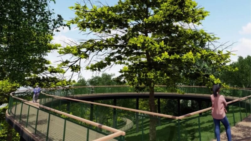 Uma borboleta gigante: conheça o projeto turístico que Criciúma quer tirar do papel