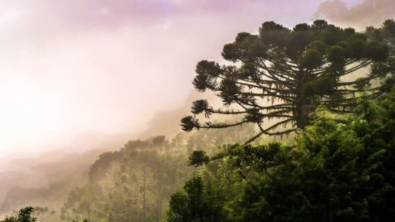 Inverno chegando: destinos catarinenses que ganham vida em junho