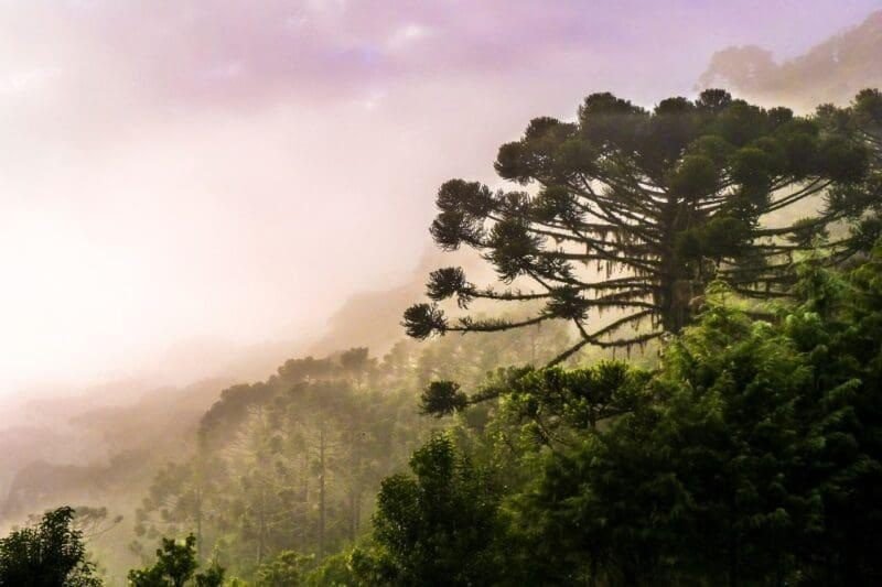 Inverno chegando: destinos catarinenses que ganham vida em junho