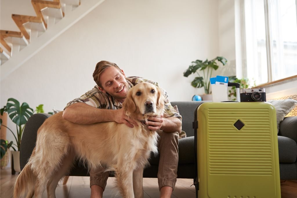 O turismo pet-friendly está em alta, mas os animais ainda viajam desprotegidos
