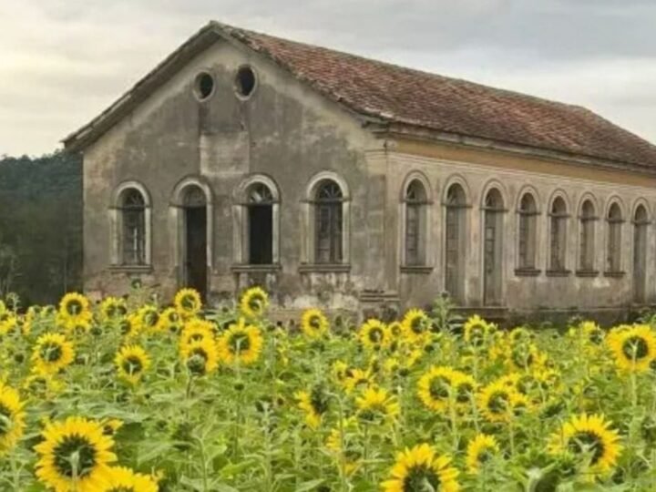 Entre vinhos, história e tradição: a rota italiana que promete encantar ainda mais o Sul de Santa Catarina