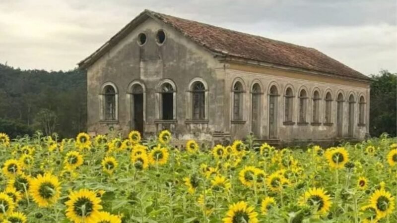 Entre vinhos, história e tradição: a rota italiana que promete encantar ainda mais o Sul de Santa Catarina