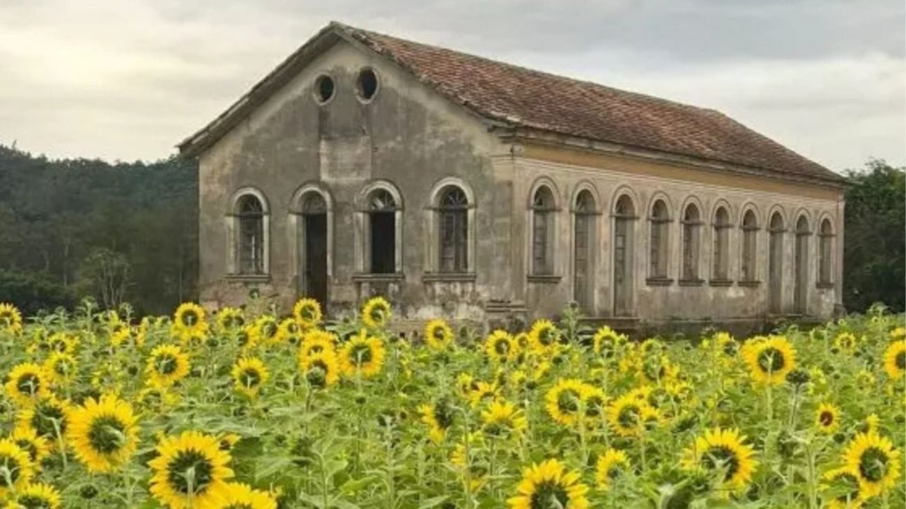 Entre vinhos, história e tradição: a rota italiana que promete encantar ainda mais o Sul de Santa Catarina